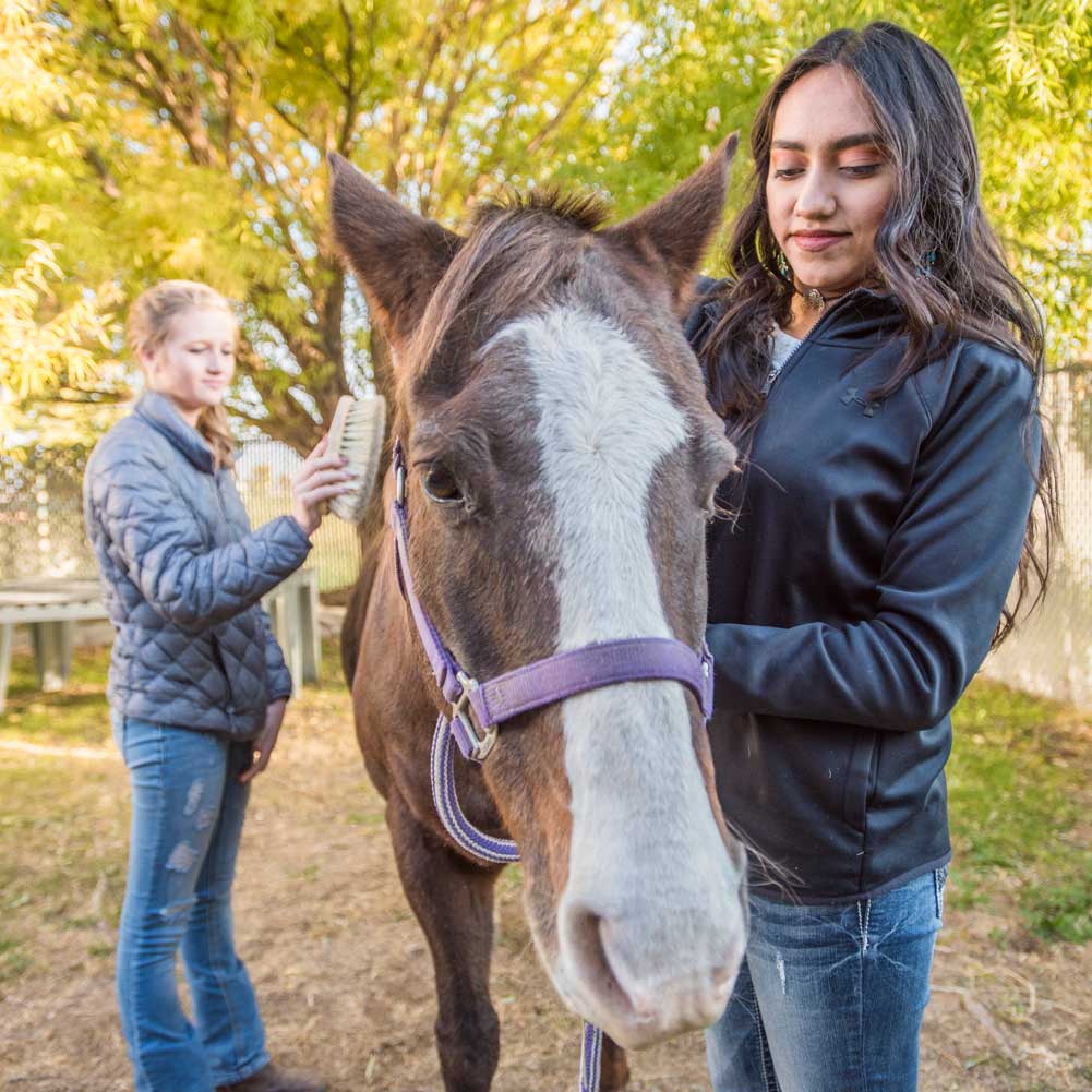 Two women bridle and brush a horse.