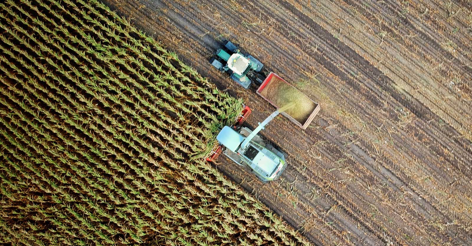 Trucks in an agricultural field